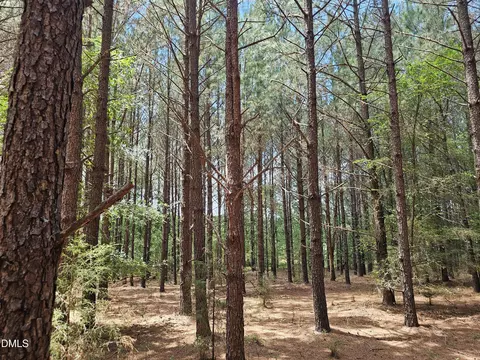 850 Clarence Phillips Rd, Bennett, NC 27208 photo 6