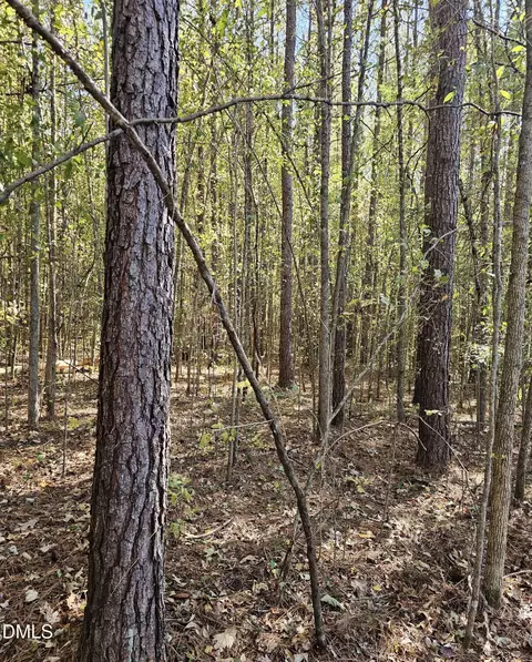 850 Clarence Phillips Rd, Bennett, NC 27208 photo 2