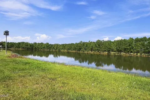 View/Area - 390 Comanche Dr, Erwin, NC 28339 photo 1 of 3