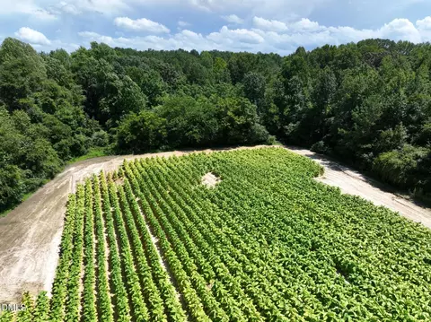 000 River Run Rd, Selma, NC 27576 photo 18