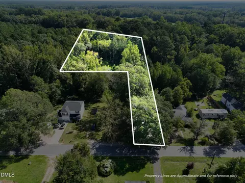 View/Area - 207 Pendergraft Rd, Bunnlevel, NC 28323 photo 1 of 7
