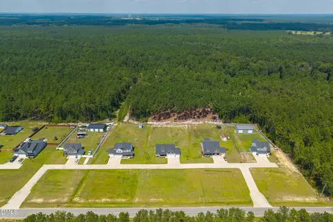 View/Area - 152 N Josey Williams Rd, Erwin, NC 28339 photo 9 of 10