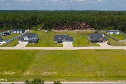 View/Area - 152 N Josey Williams Rd, Erwin, NC 28339 photo 2 of 10