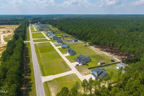 View/Area - 152 N Josey Williams Rd, Erwin, NC 28339 photo 10 of 10