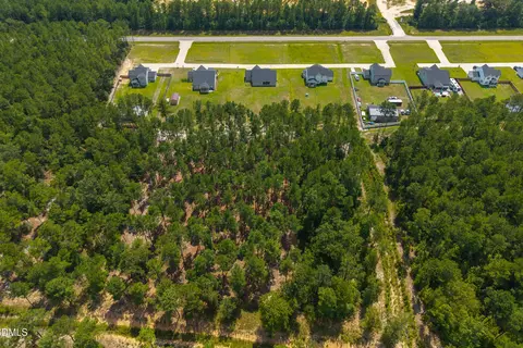 View/Area - 152 N Josey Williams Rd, Erwin, NC 28339 photo 8 of 10