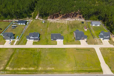 View/Area - 152 N Josey Williams Rd, Erwin, NC 28339 photo 3 of 10