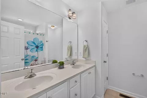 Bath - 303 Gallop Ct, Stem, NC 27581 photo 1 of 3