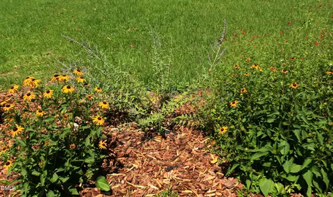 Other - 2351 Mount Pleasant Rd, Willow Spring, NC 27592 photo 5 of 12