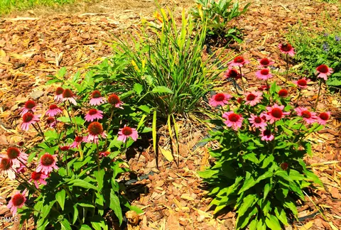 Other - 2351 Mount Pleasant Rd, Willow Spring, NC 27592 photo 6 of 12
