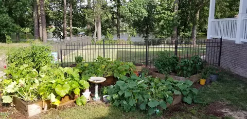 Exterior - 136 Kenneth Ln, Willow Spring, NC 27592 photo 13 of 19