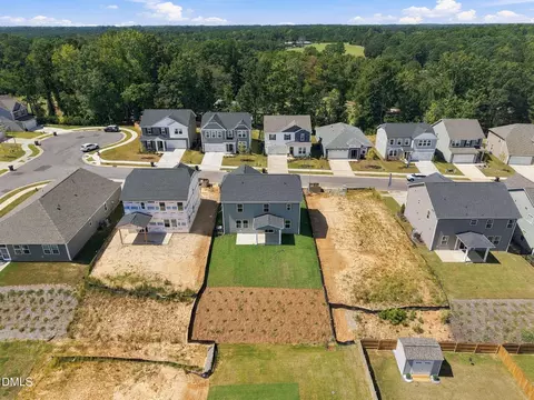 View/Area - 34 Baird Cv Ln, Angier, NC 27501 photo 4 of 7