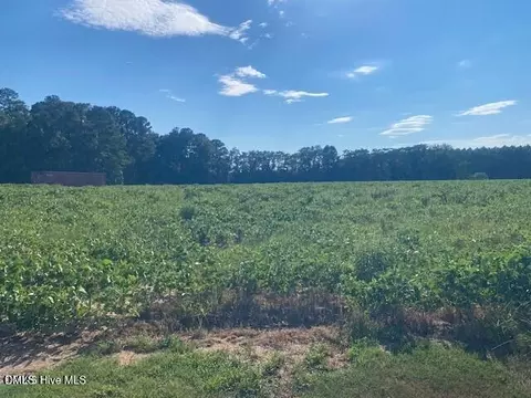 0 Stott Rd, Bailey, NC 27807 photo 4