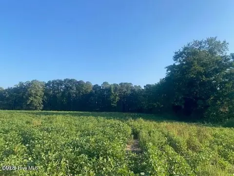 0 Stott Rd, Bailey, NC 27807 photo 6