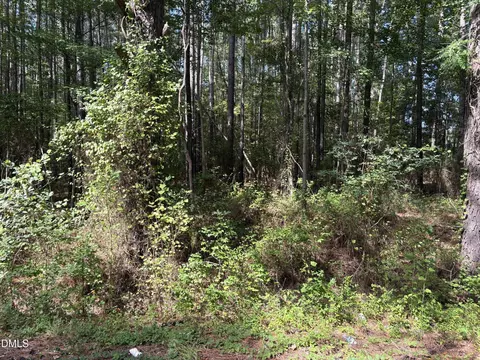 0 Carver School Rd, Henderson, NC 27537