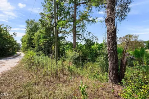 3145 Erwin Chapel Rd, Dunn, NC 28334 photo 19