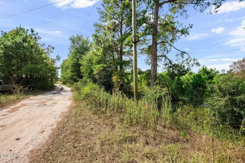 3145 Erwin Chapel Rd, Dunn, NC 28334 photo 18
