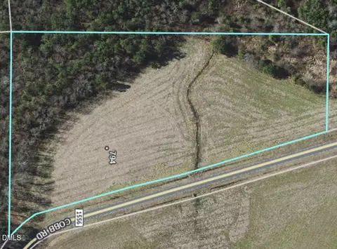 Other - 794 Cobb Rd, Benson, NC 27504 photo 9 of 11