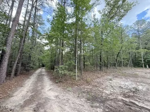 0 Elfman Dr, Spring Lake, NC 28390 photo 3