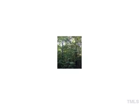 120 Rustler Rd, Louisburg, NC 27549