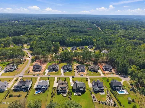View/Area - 1221 Perry Bluff Dr, Wake Forest, NC 27587 photo 3 of 3