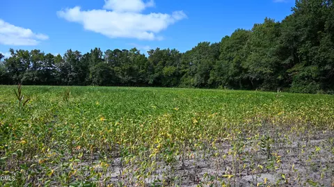 Other - tbd Jacobs Rd, Maxton, NC 28364 photo 15 of 16