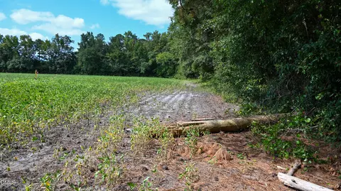 Other - tbd Jacobs Rd, Maxton, NC 28364 photo 16 of 16
