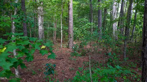 Other - tbd Jacobs Rd, Maxton, NC 28364 photo 14 of 16