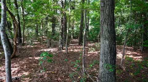 Exterior - tbd Jacobs Rd, Maxton, NC 28364 photo 1 of 1