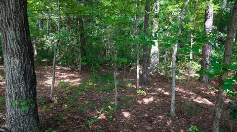 Other - tbd Jacobs Rd, Maxton, NC 28364 photo 13 of 16