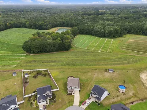 View/Area - 79 Pleasant Grove Ct, Willow Spring, NC 27592 photo 2 of 3