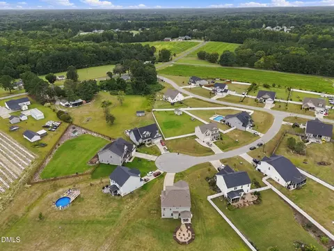 View/Area - 79 Pleasant Grove Ct, Willow Spring, NC 27592 photo 3 of 3