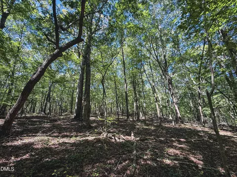 0 Ralph Moore Rd, Bear Creek, NC 27207
