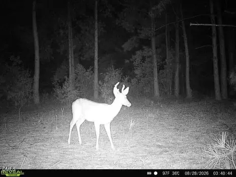Other - 50 Cutoff Rd, Dunn, NC 28334 photo 14 of 15