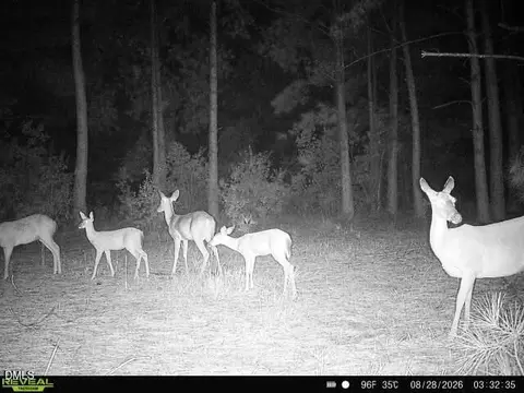 Other - 50 Cutoff Rd, Dunn, NC 28334 photo 15 of 15