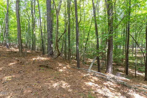 Other - 3162 Twig Ct, Wake Forest, NC 27587 photo 7 of 8