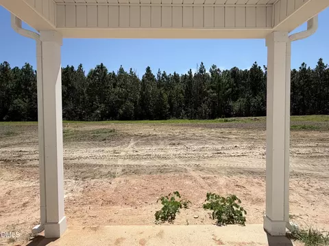 Exterior - 347 Thorntons Creek Dr, Erwin, NC 28339 photo 3 of 3