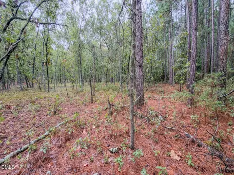 599 Mcduffie Rd, Cameron, NC 28326 photo 22