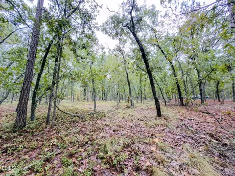 599 Mcduffie Rd, Cameron, NC 28326 photo 11