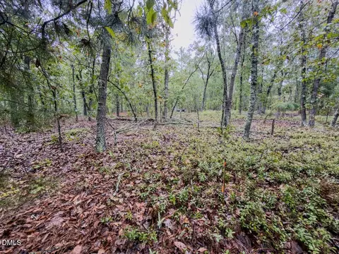 599 Mcduffie Rd, Cameron, NC 28326 photo 17