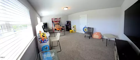 Other - 78 Bushel Basket Dr, Benson, NC 27504 photo 11 of 15