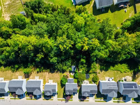 View/Area - 234 Fieldspar Ln, Clayton, NC 27520 photo 10 of 14