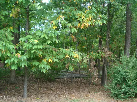809 Brandon Rd, Durham, NC 27713 photo 6