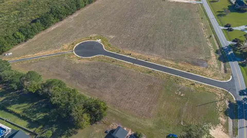 lot2 Dogeye Rd, Benson, NC 27504 photo 9