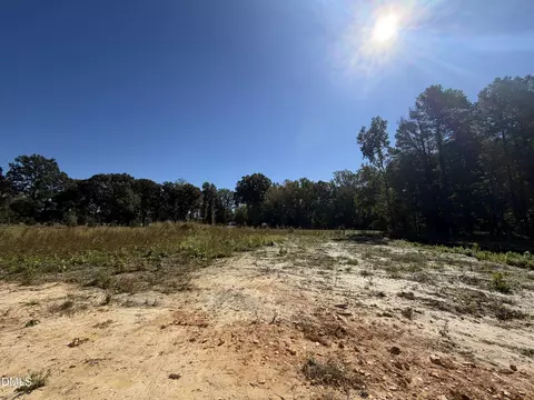 726 Olive Branch Dr, Smithfield, NC 27577 photo 3