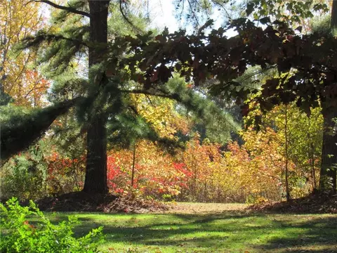 281 Perkinson Rd, Ruffin, NC 27326 photo 4