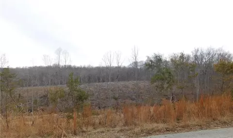 00 Cane Creek Road Lot 7 8 Rd, Snow Camp, NC 27349