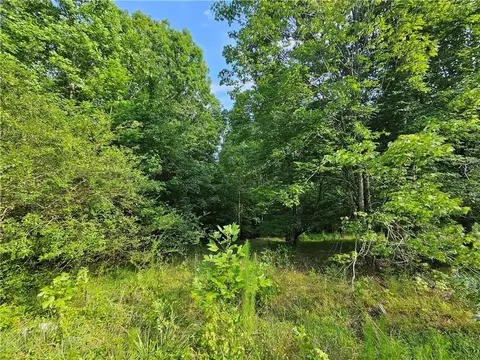 Lt 14 Timber Creek Trail, Graham, NC 27253