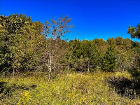 0 Walker Rd, Elon, NC 27244 photo 2