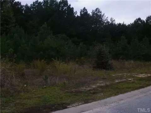 21 Pinestate St, Lillington, NC 27546