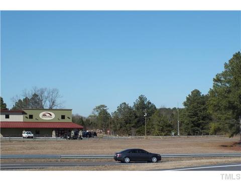 335 Batten Rd, Selma, NC 27576 photo 1